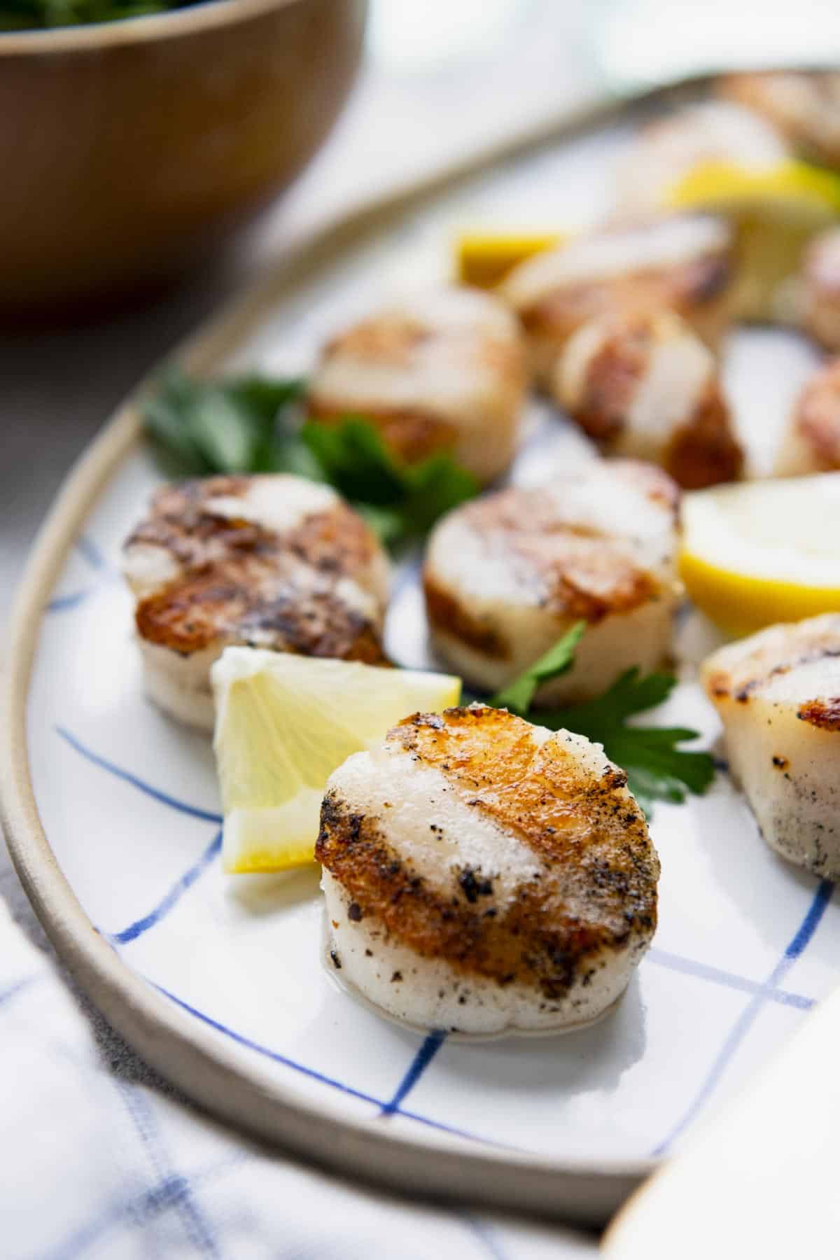 Close up front shot of perfectly grilled scallops served on a tray.