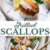 Long collage image of grilled scallops.