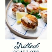 Grilled scallops with text title at the bottom.