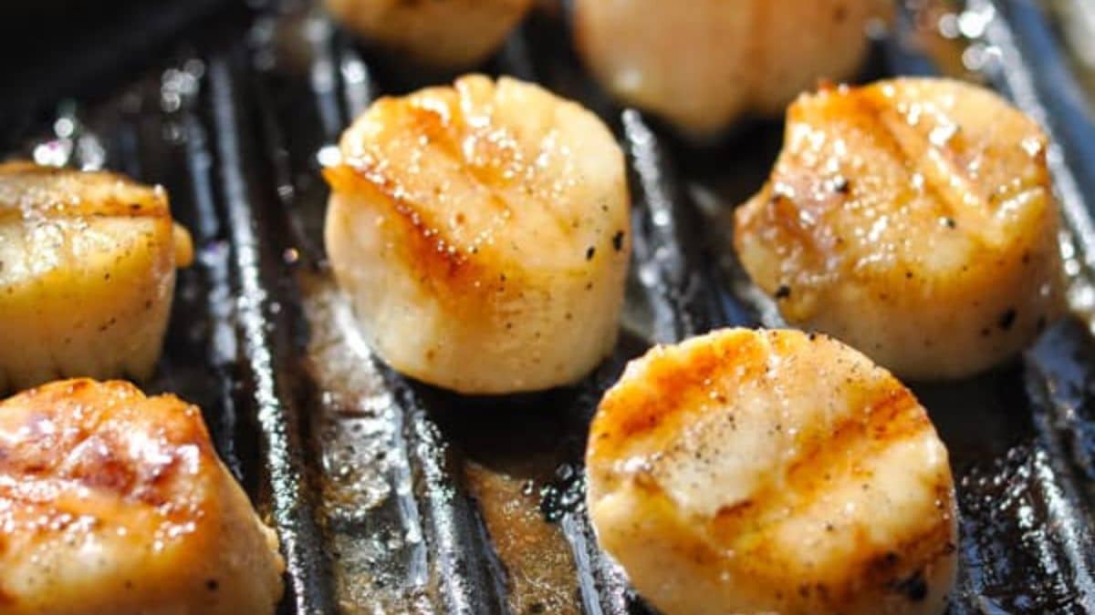 Grilled scallops 