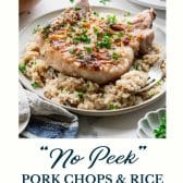 Pork chop and rice casserole with text title at the bottom.