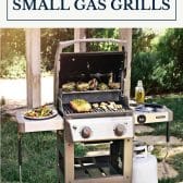 Best small gas grills with text title box at top.