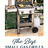 Best small gas grills with text title at the bottom.