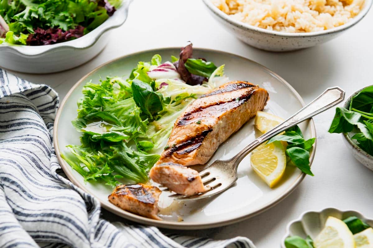 Horizontal side shot of a plate of grilled salmon with salad and rice on the side.