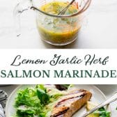 Long collage image of salmon marinade.
