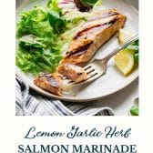 Salmon marinade with text title at the bottom.