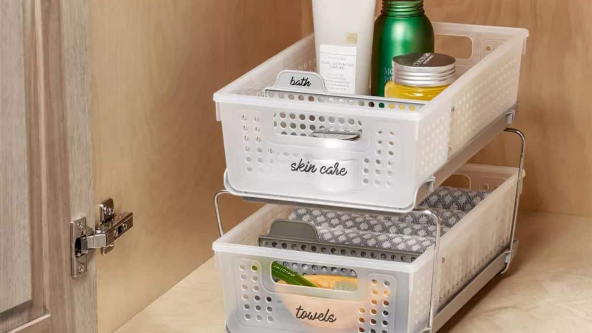 Madesmart Two-Tier Organizer With Dividers 
