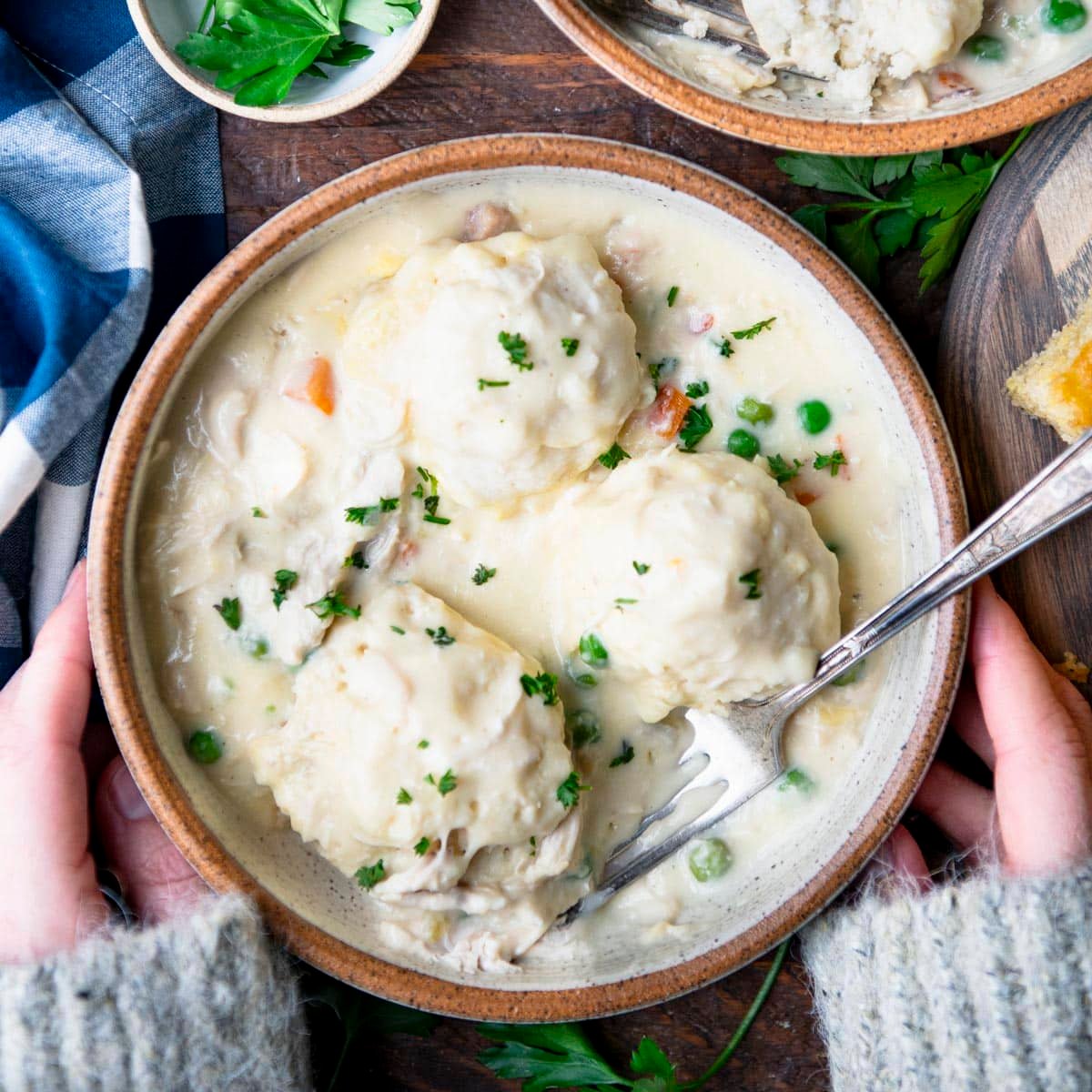 Square overhead shot of hands holding a bowl of Bisquick chicken and dumplings.