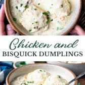 Long collage image of Bisquick chicken and dumplings.
