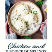 Bisquick chicken and dumplings with text title at the bottom.