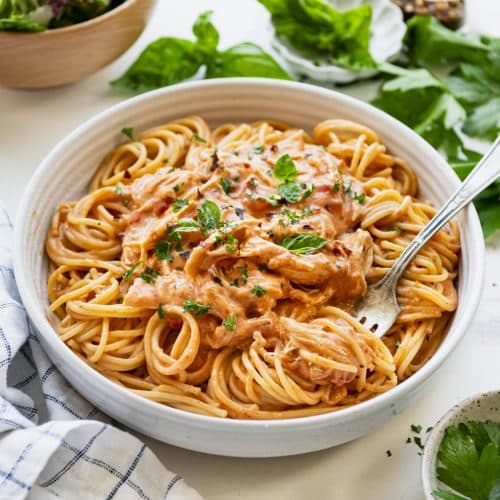 Slow Cooker Creamy Italian Chicken and Sauce - The Seasoned Mom