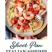 Baked sheet pan Italian shrimp with text title at the bottom.