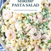 Shrimp pasta salad with text title overlay.