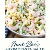 Shrimp pasta salad with text title at the bottom.