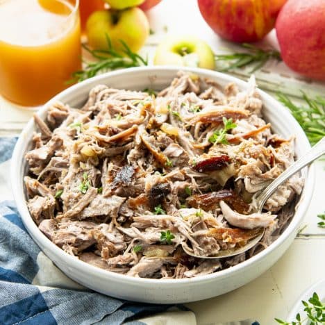 Square side shot of a bowl of apple cider braised pork shoulder.